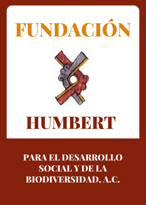 FUNDACIÓN (1)