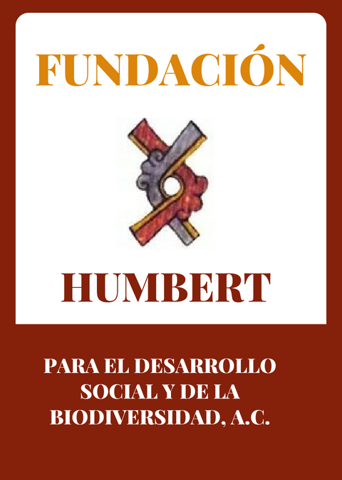 FUNDACIÓN